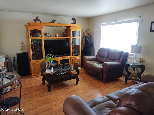 living room with light wood-type flooring