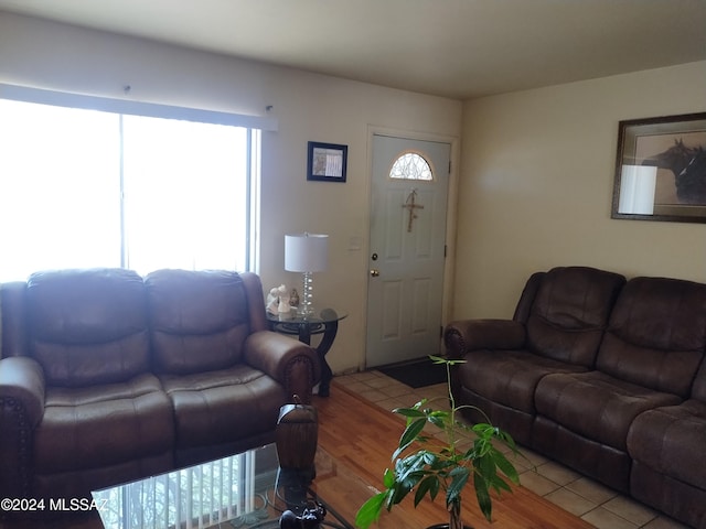 living room featuring hardwood / wood-style flooring