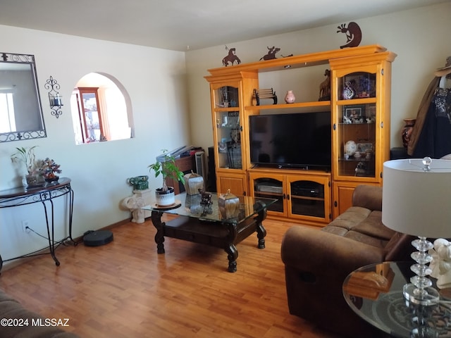 living room featuring hardwood / wood-style floors