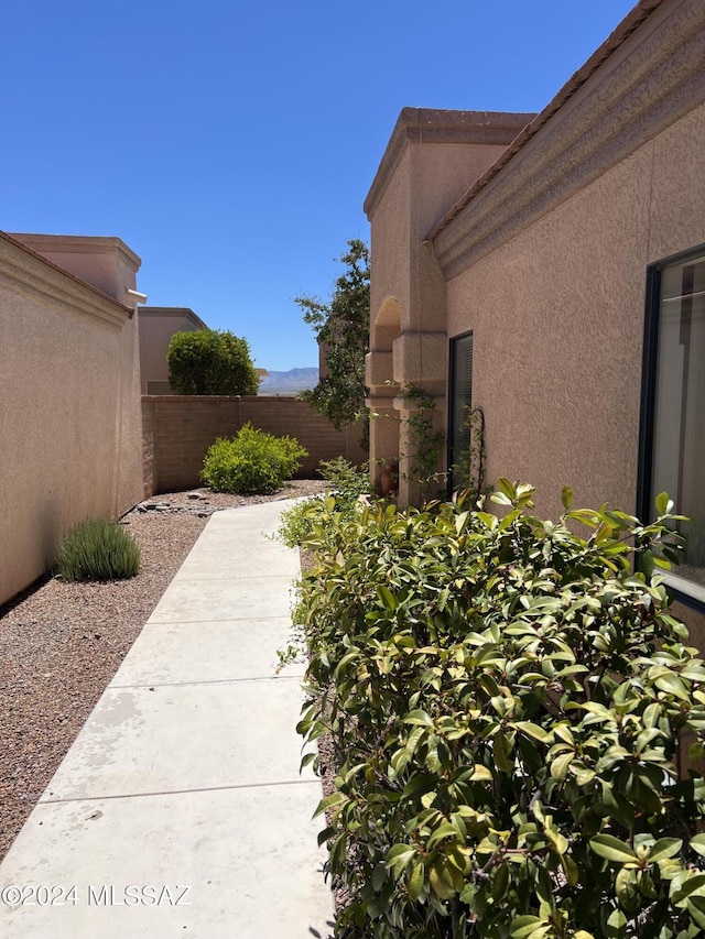 view of yard featuring a patio area