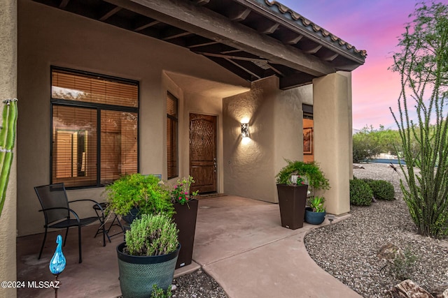 view of exterior entry featuring a patio and stucco siding