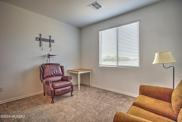 sitting room with carpet flooring