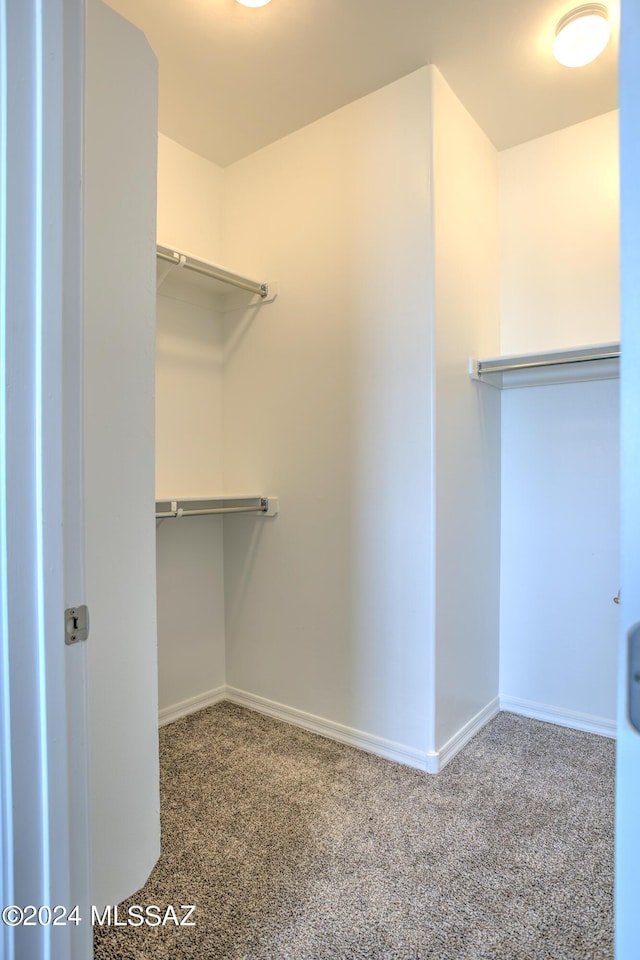 spacious closet featuring carpet flooring