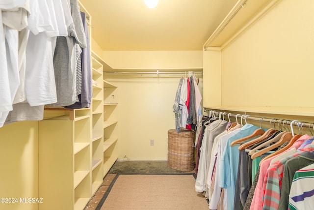 spacious closet featuring carpet