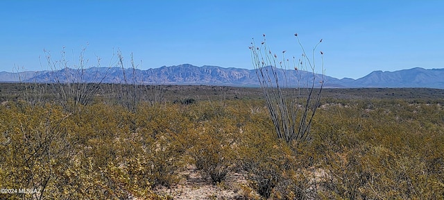 Listing photo 3 for TBD W Rainbow Rd, Tombstone AZ 85638