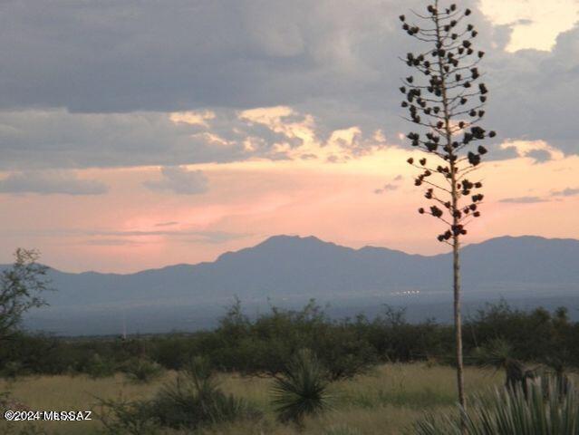 Listing photo 3 for E1 E De Vaca Cir Lot 10, Saint David AZ 85630