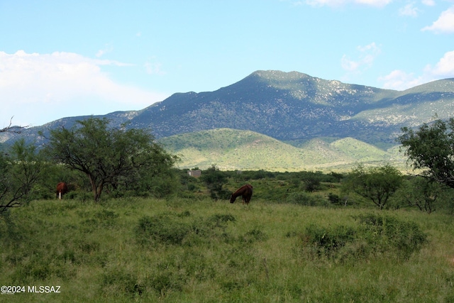 property view of mountains with a rural view