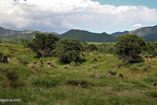 view of mountain feature