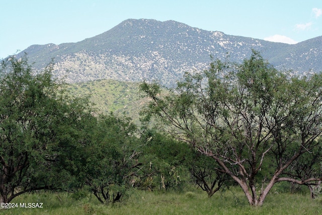 view of mountain feature