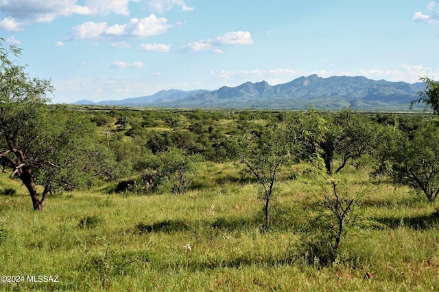 view of mountain feature