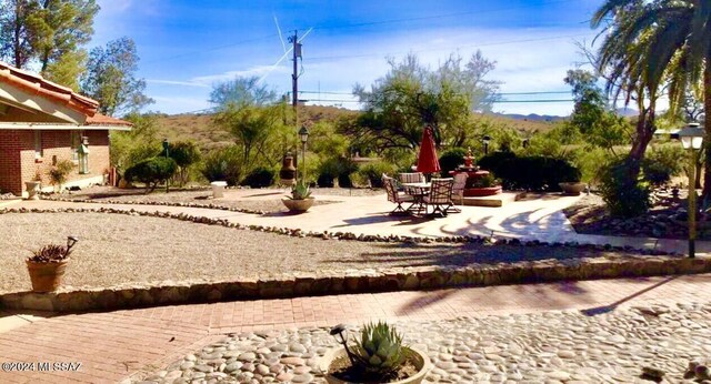 view of yard featuring a patio