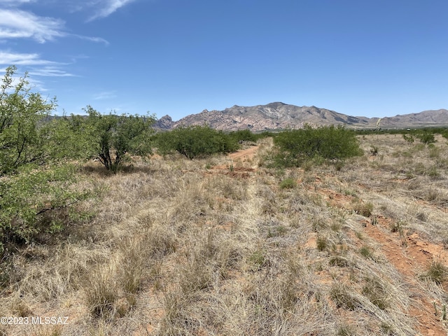 1.17ACRES W Cody St Unit 11, Pearce AZ, 85625 land for sale