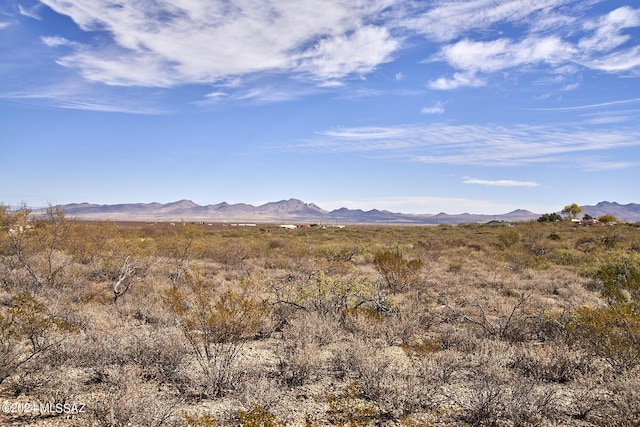 TBD W Bo Ma Trail 115, Portal AZ, 85632 land for sale