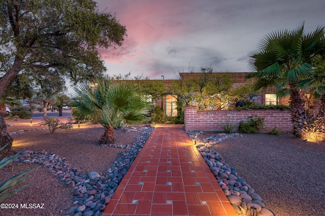 view of yard at dusk