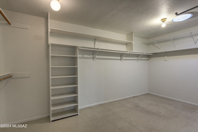 view of spacious closet