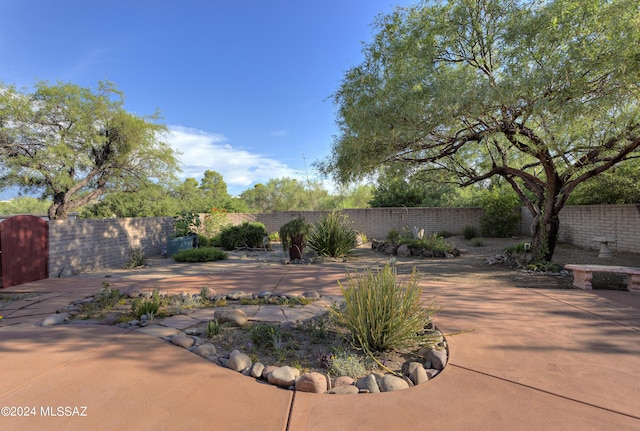 view of yard with a patio area