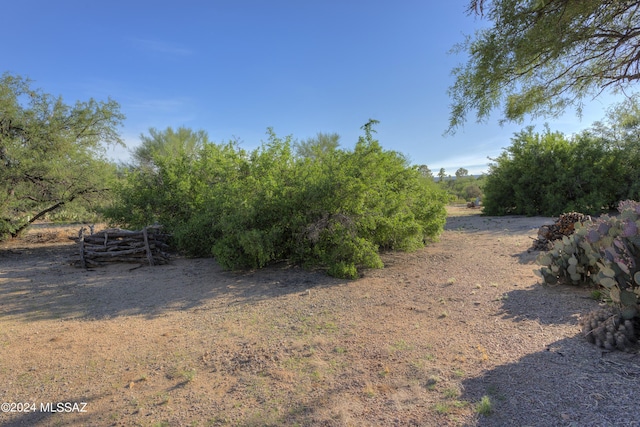 view of yard with a rural view