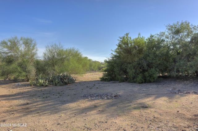 view of local wilderness