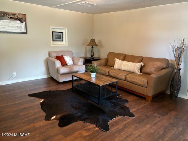 living room featuring dark wood-type flooring