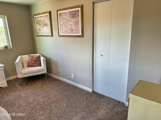 sitting room with baseboards and carpet flooring