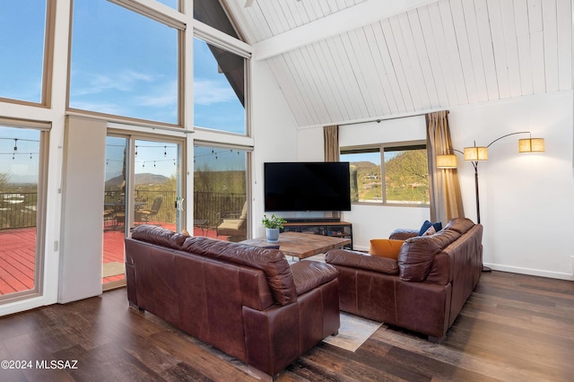 living room featuring lofted ceiling and wood-type flooring