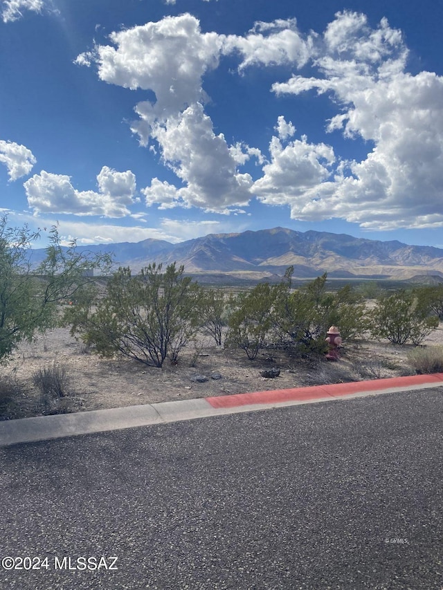 Star Fire Cir Unit 4, Safford AZ, 85546 land for sale