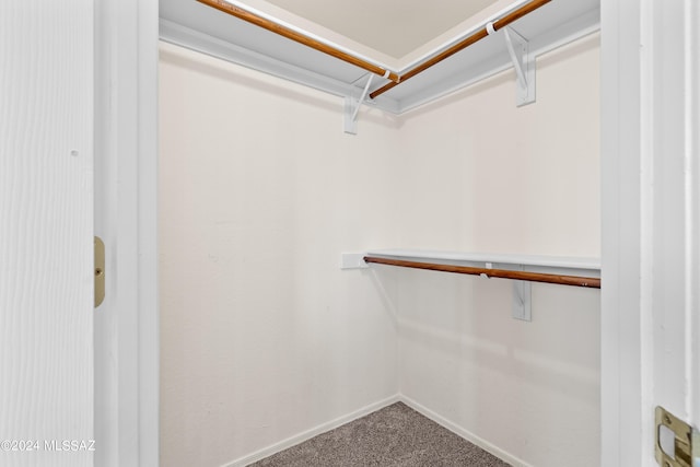 spacious closet featuring carpet floors