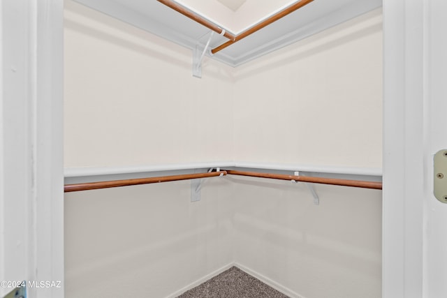 walk in closet with carpet