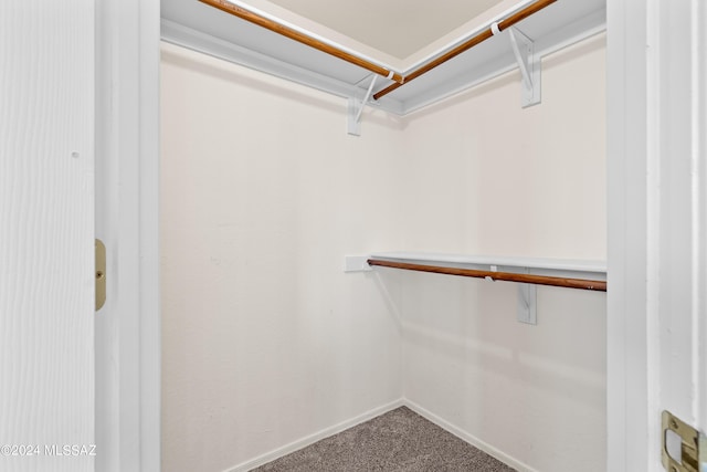 spacious closet with carpet floors