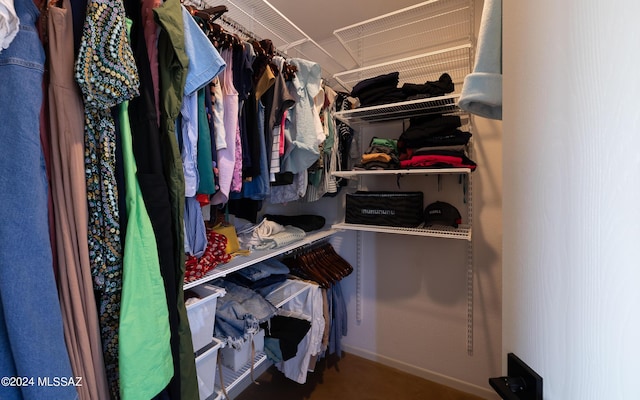 view of walk in closet