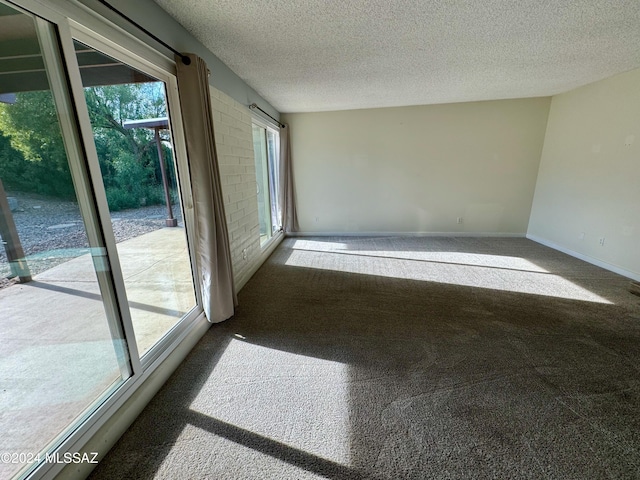 empty room with carpet and a textured ceiling