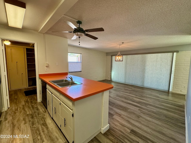 kitchen featuring dishwasher, sink, a textured ceiling, and hardwood / wood-style flooring