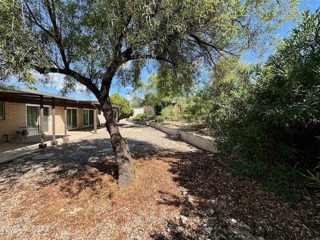 view of yard with a patio area