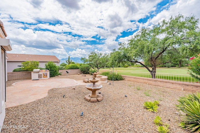 view of yard with area for grilling and a patio area