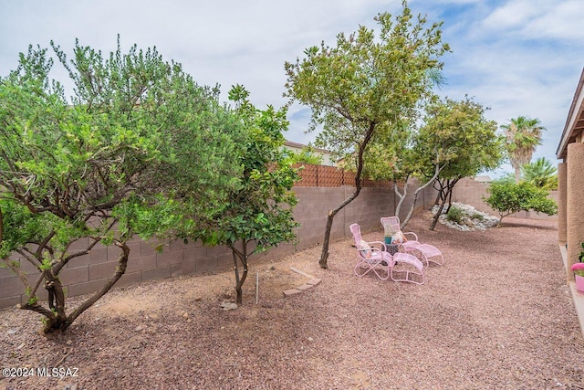 view of yard with a patio area