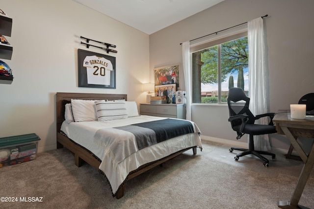 view of carpeted bedroom