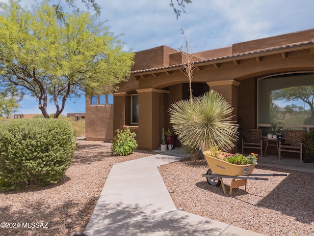 entrance to property featuring a patio