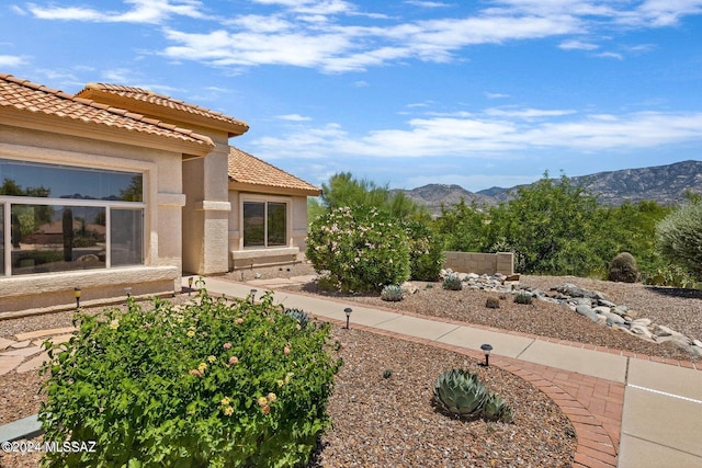 view of yard featuring a mountain view