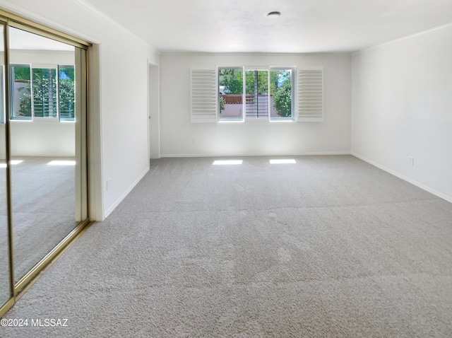 carpeted empty room featuring a healthy amount of sunlight