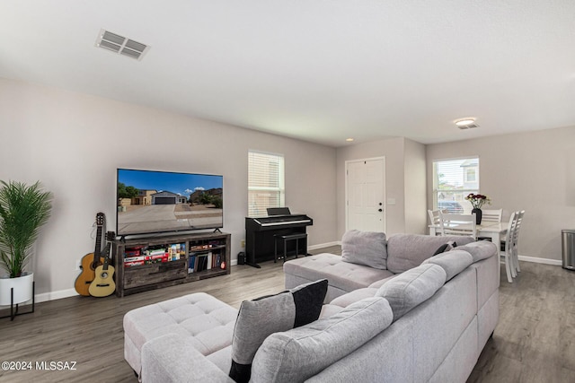 living room featuring wood-type flooring