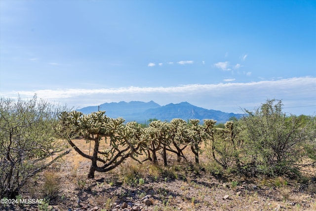 3460 W Calle Quatro Unit 7, Green Valley AZ, 85622 land for sale