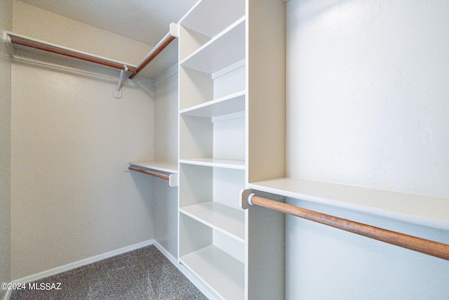 spacious closet with carpet flooring