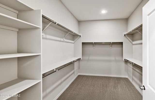 walk in closet with carpet flooring