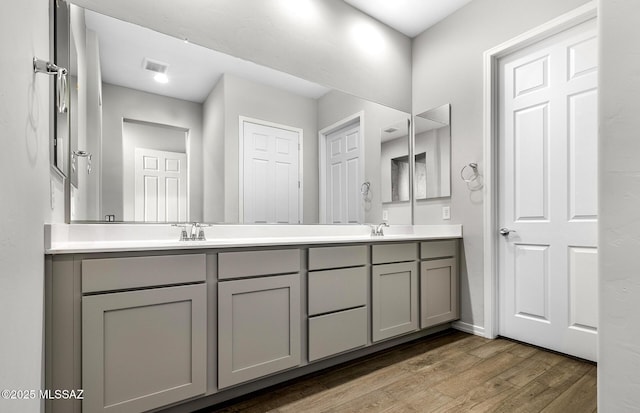 bathroom with vanity and wood-type flooring