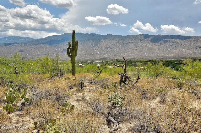 400 S Pinto Pl, Tucson, AZ 85748