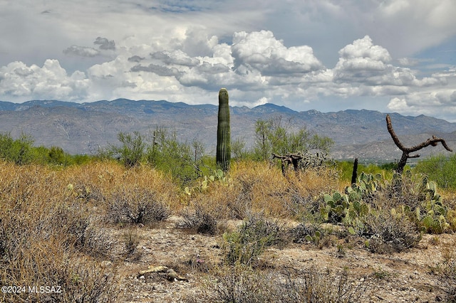 400 S Pinto Pl, Tucson, AZ 85748