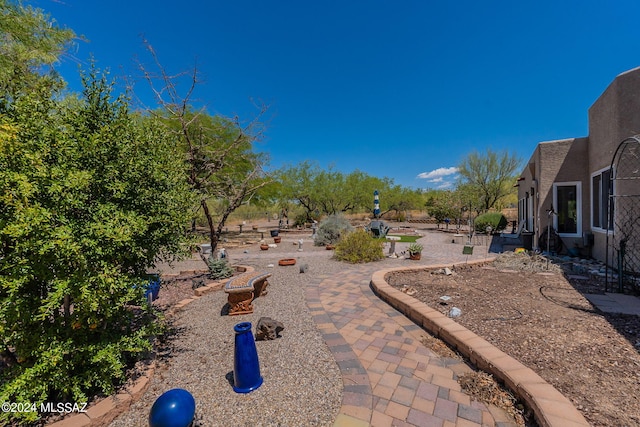 view of yard featuring a patio area