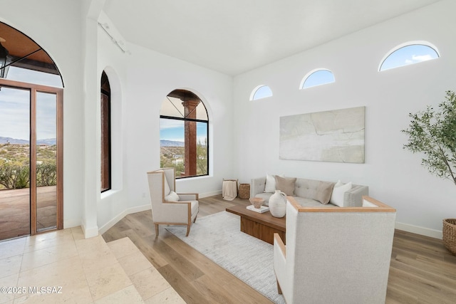 living room with rail lighting, a mountain view, and light wood-type flooring