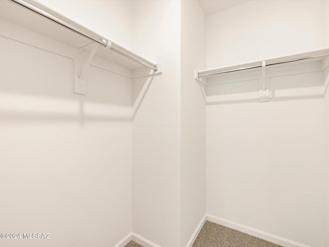 spacious closet with carpet