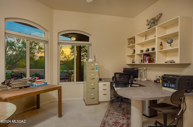 office featuring light carpet